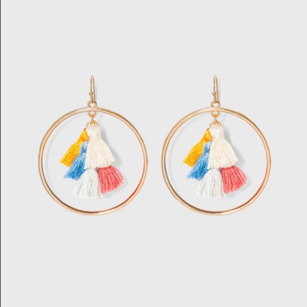 🎉 Festival Tassel Earrings